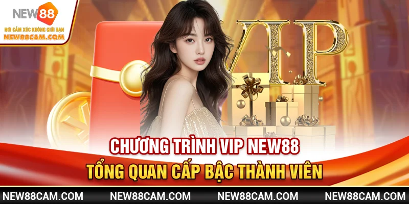 Vip New88 – Nâng cấp thành viên nhận thưởng độc quyền 2025 1 Chương trình VIP New88